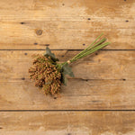 12.75" Brown Golden Rod Bundle