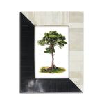 4x6 Black & White Photo Frame