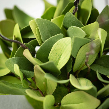 Ruscus Leafy Twig Half Orb