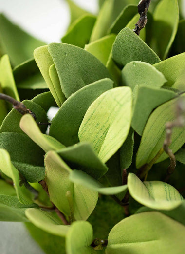 Ruscus Leafy Twig Half Orb
