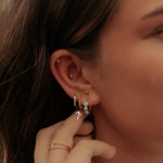 Goldie Dot Hoops