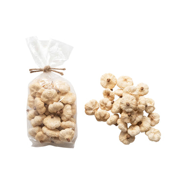 Dried Pumpkin Pods in Bag