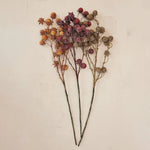 37" Faux Rose Hip Stem