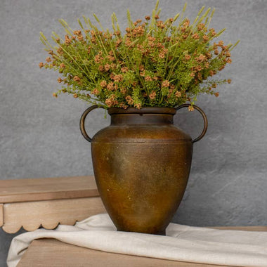 14" Burnt Orange Stonecrop Bush