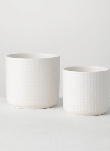 White Dotted Planter
