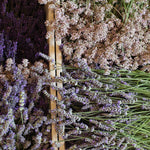 Rhubarb Lavender Spoon Preserves