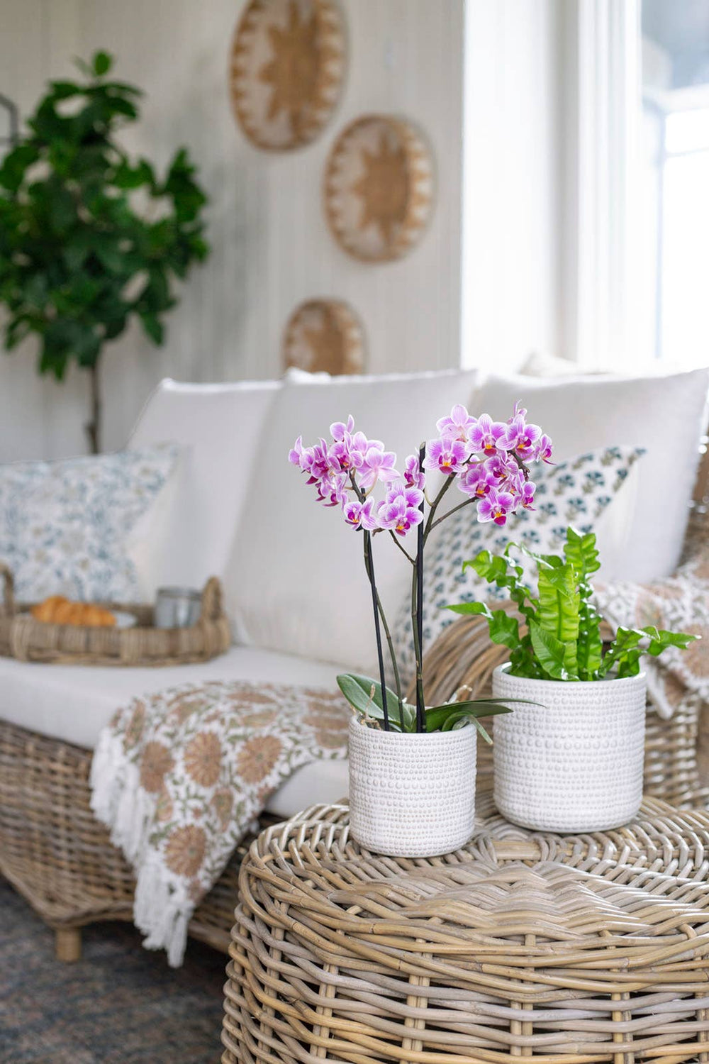 large textured plant pot Large Textured White Pot – Linen & Clove