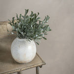 12" Frosted Mistletoe Pick