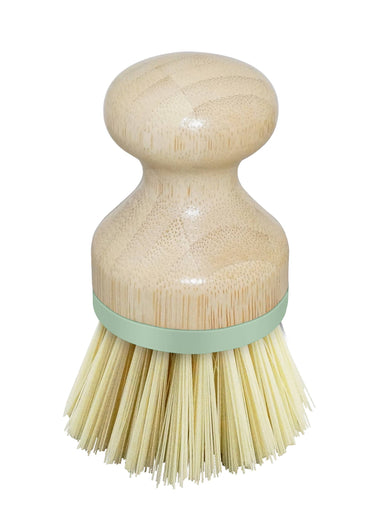 Bamboo Palm Dish Brush - Sage