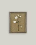 4x6 Tulip Stem Framed Art