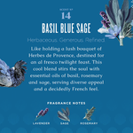 Basil Blue Sage Biodegradable Dish Soap with Bark & Aloe