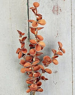 20in. Fall Snapdragon Leaves Spray