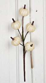 11" Mini Pumpkin Twiggy Pick-Cream