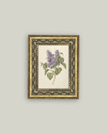 5x7 Lilac Branch Framed Art