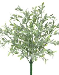 14" Baby Tears Bush