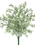 14" Baby Tears Bush