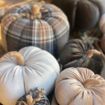 XL BWT Plaid Fabric Pumpkin