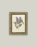 5x7 Lilac Branch Framed Art
