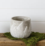 Debossed Fern Planter