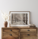 8x10 Snowy Road Art Print