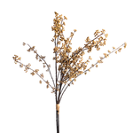 34" Beige Berry Bundle