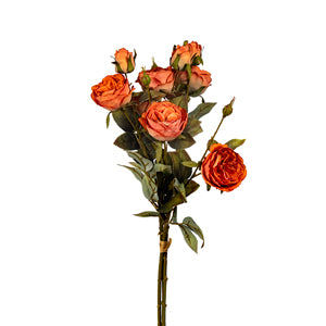 25" Autumn Garden Rose Bundle