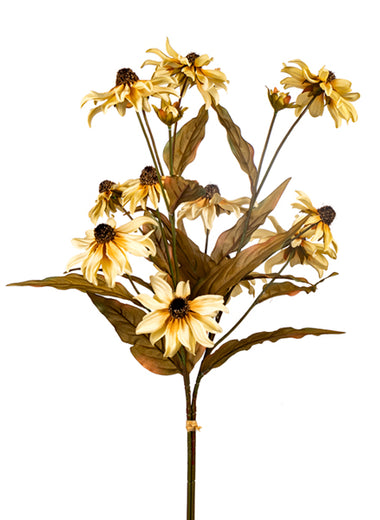 32" Black Eyed Susan Bundle - Beige