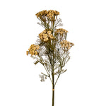 29" Yarrow Bundle
