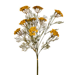 29" Yarrow Bundle