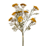 29" Yarrow Bundle