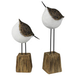 Morrey Wood Bird - Looking Down