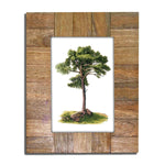 Modern Wood Frame