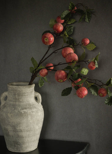 12" Whitewash Terracotta Vase with Handles