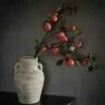 12" Whitewash Terracotta Vase with Handles