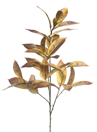 Bronze Laurel Branch