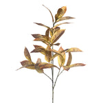 Bronze Laurel Branch
