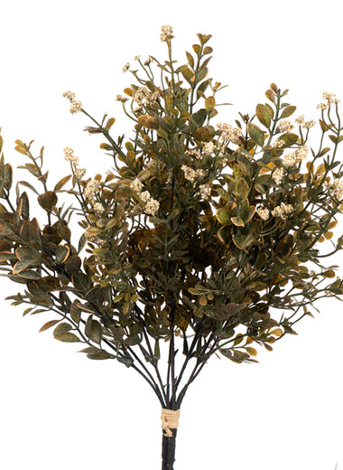 15" Boxwood with Berries