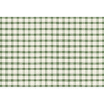 Dark Green Painted Check Placemat