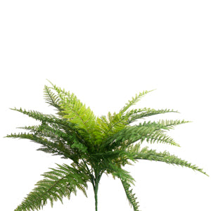 22" Fern Spray