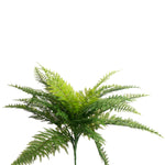 22" Fern Spray