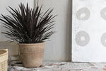 Monteclair Planter