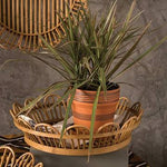 Bloemen Tray