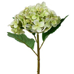 20" Green Hydrangea Stem