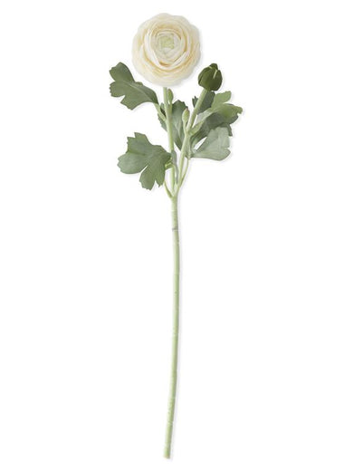 19" Real Touch Cream Bud & Bloom Ranunculus