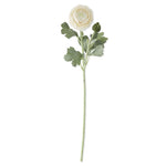 19" Real Touch Cream Bud & Bloom Ranunculus