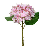 20" Pink Hydrangea Stem