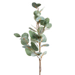 31" Silver Dollar Eucalyptus Stem
