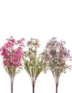18" Waxflower Blossoms Bush