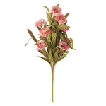 18" Coral Oriental Poppy Bush w/ Eva Foliage