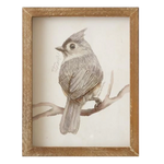 Birds with Names Framed Prints